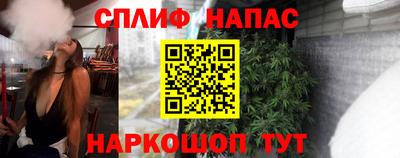СК Моздок