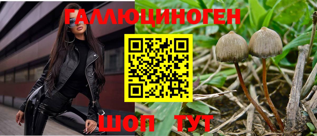 Псилоцибиновые грибы прущие грибы Тавда