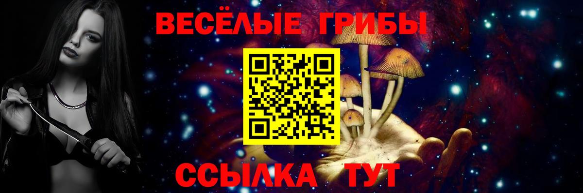 купить  цена  Вход с VPN  Тавда  Псилоцибиновые грибы ЛСД 